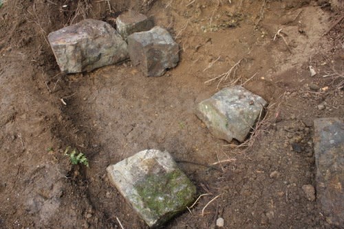 石の竈 かまど を築いた一日 楮 こうぞ を移植して楮の繊維を取り出す準備 友愛の森 里山再生プロジェクト 29 森の空想ブログ