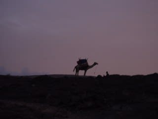 北東アフリカの旅 １０ エルタ アレ火山 Luntaの小さい旅 大きい旅
