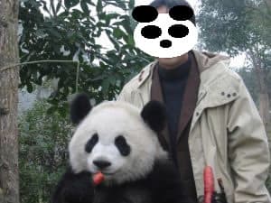 性格の悪い パンダ 北京暮らしを始めてみれば その後