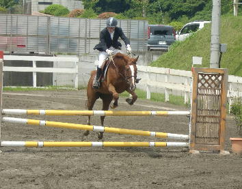 千葉県馬術大会パート2(JUMPING)・県民体育大会第2部 ...