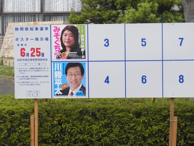 静岡県知事選２０１７ 其の五 選挙看板 蜘蛛の糸