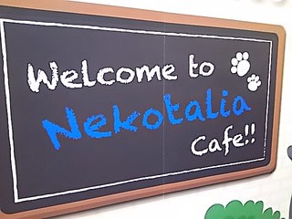 今年の運使い果たす ねこたりあカフェ あ い べ や