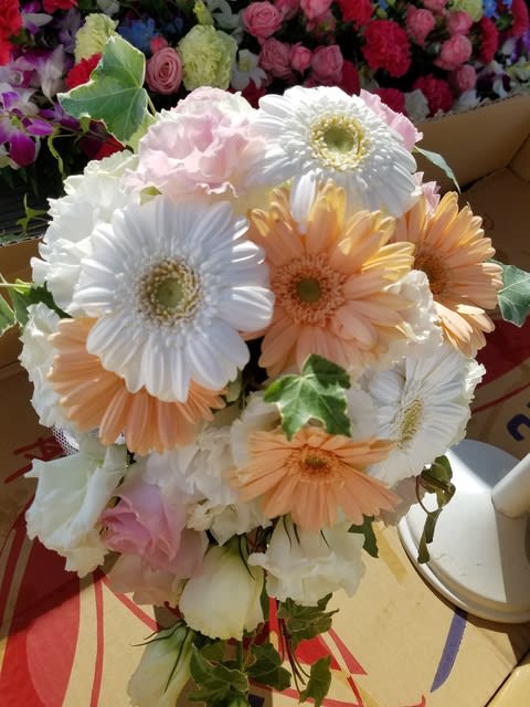 １２月９日 明日の誕生花 ゆかりの花 花言葉は O 海の街のお花屋さん 愛知県 知多半島 南知多町 内海 豊浜 内海生花 花 大の日記