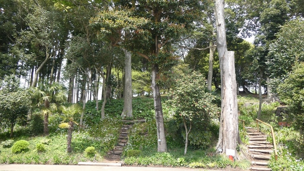 神山自然公園の丘