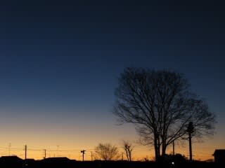 IMG_4375