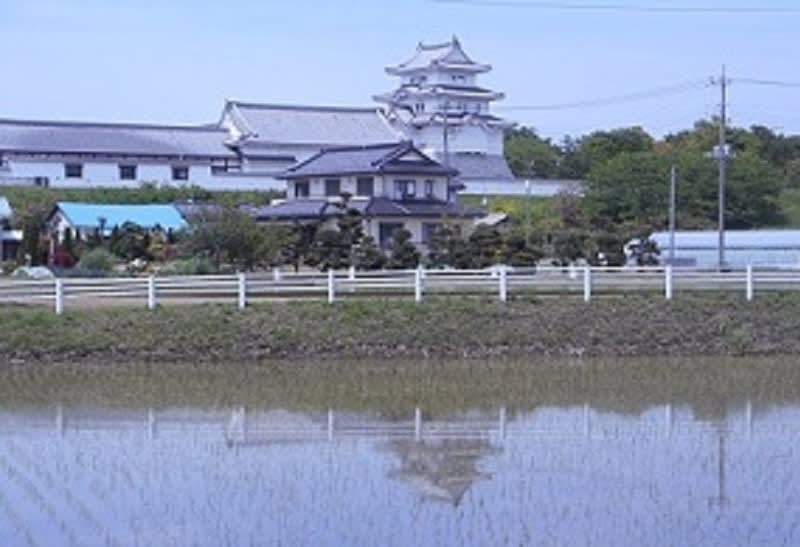 野田の関宿城博物館でのセミナー 戦国後北条氏による関宿城 開城と在番衆 布施弁天界隈の自然と歴史情報 野田の関宿城博物館でのセミナー 戦国後北条氏による関宿城 開城と在番衆 布施弁天界隈の自然と歴史情報