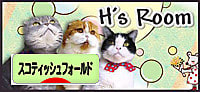 にほんブログ村 猫ブログ スコティッシュフォールドへ