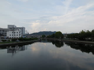 水草が刈り取られた蓮池川