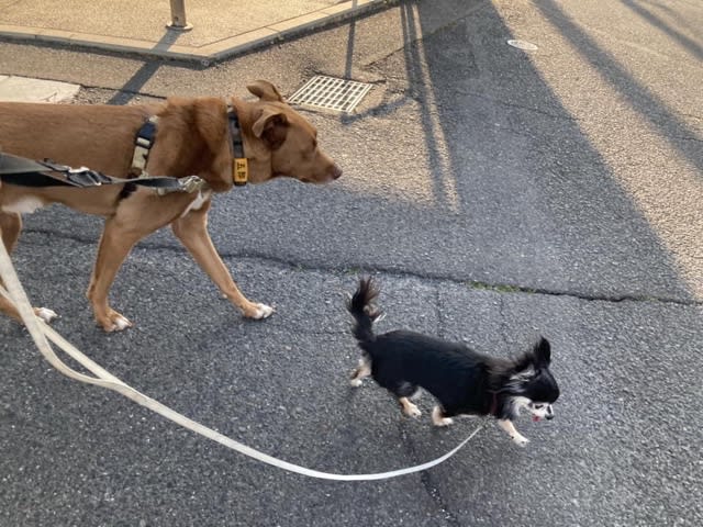 オンリーワン Dog Life Total Support オンリーワン Dog Life Total Support