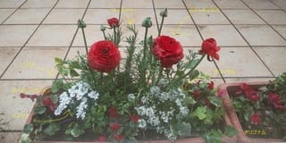 マイブームのプランター寄せ植え ちーママとスペクトラムな息子との日記 マイブームのプランター寄せ植え ちーママとスペクトラムな息子との日記