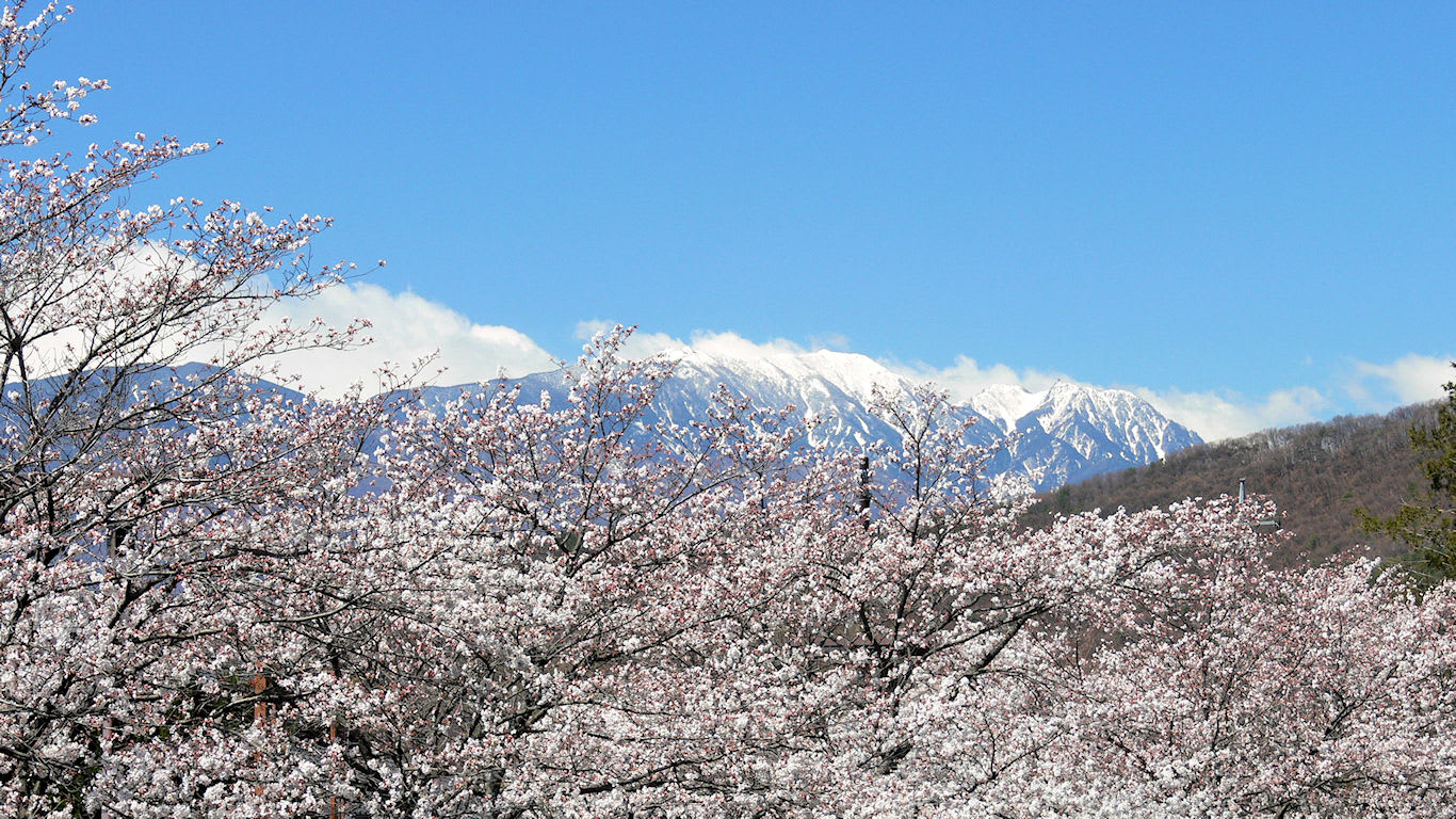 桜と雪山 パソコンときめき応援団 壁紙写真館