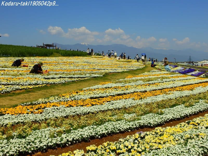 信州花フェスタ19 松本市 花の丘 長野県の滝 こだる