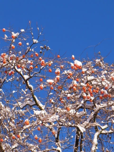 楽しいやら 悲しいやら色々なお話 のブログ記事一覧 音楽の大福帳
