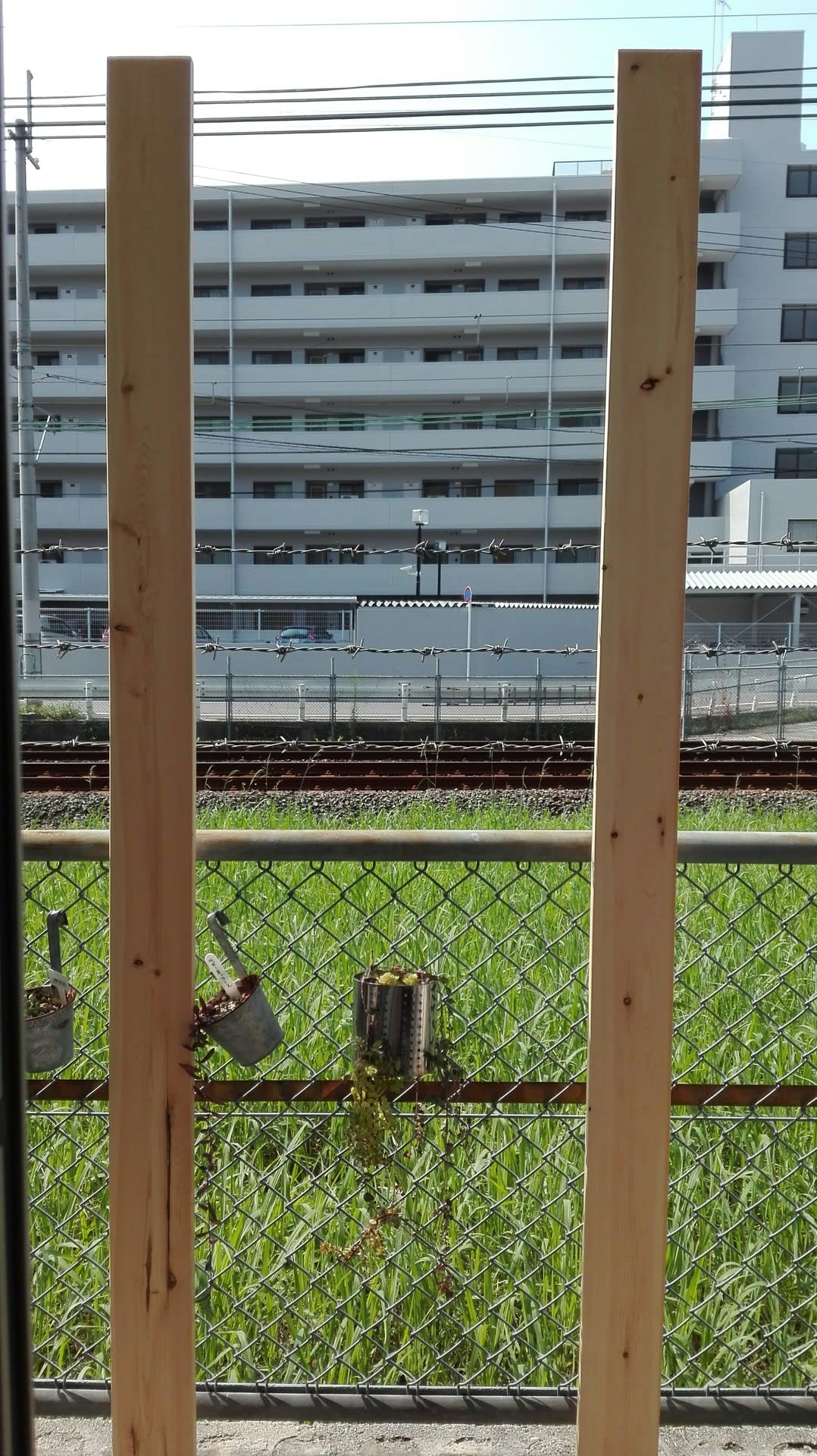 16年8月のブログ記事一覧 ジョンとねえねの散歩道 さんぽみち Since 2006 そして モカ モモとの日々 16年8月のブログ記事一覧 ジョンとねえねの散歩道 さんぽみち Since 2006 そして モカ モモとの日々