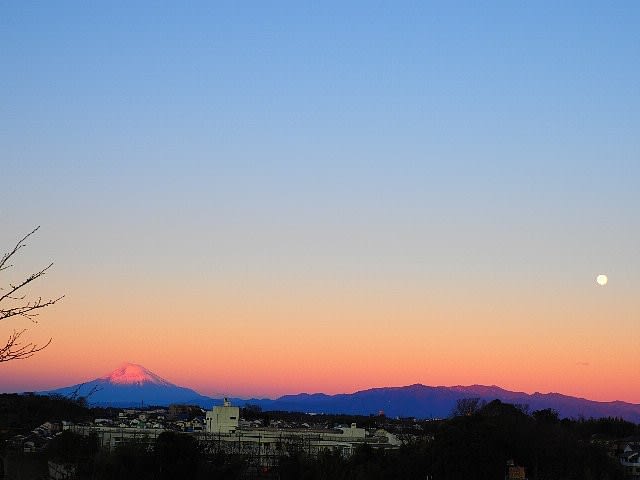 朝焼けにに染まる富士と寒月 庭先の四季