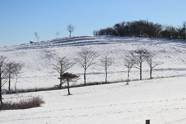 長野県佐久市の東端にある佐久荒船高原は 冬景色になり始めています ヒトリシズカ特論 その2 長野県佐久市の東端にある佐久荒船高原は 冬景色になり始めています ヒトリシズカ特論 その2
