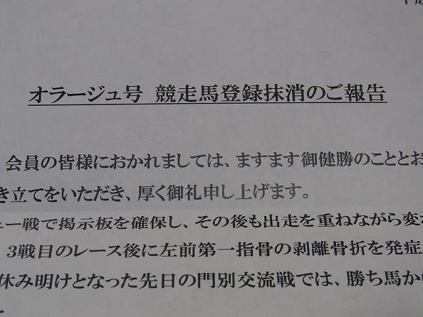 オラージュ 引退通知 競走馬登録抹消の報告 到着 とりあえず一口馬主の楽しいこと