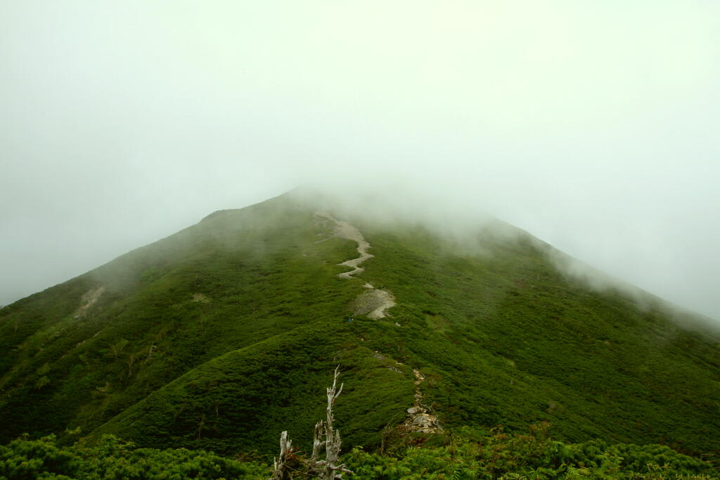 西穂高岳の画像