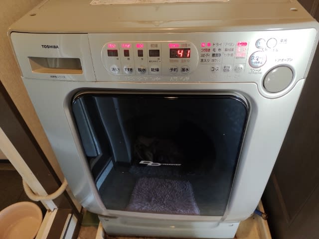 2003年東芝製 洗濯機トラブル - リビングストン←→相模原 日記 2003年東芝製 洗濯機トラブル - リビングストン←→相模原 日記
