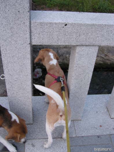 Photo_120 Photo_120