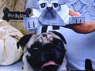 結婚できない男 最終回 幸せになって悪いか アンナdiary Part2 結婚できない男 最終回 幸せになって悪いか アンナdiary Part2