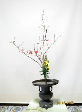 薄端の花器に、「ボケと小菊」の生花 - 「池坊・花のあけちゃんブログ