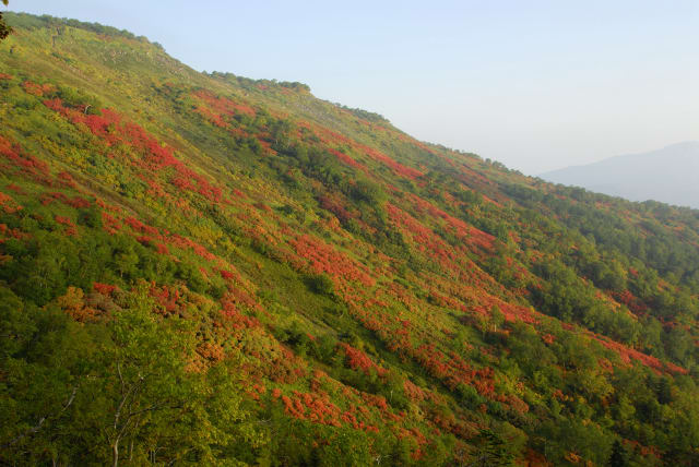 大雪山 赤岳 紅葉 北国の情景 大雪山 赤岳 紅葉 北国の情景