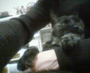 200612041538000.jpg