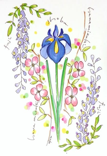 春の花2 藤 ハナミズキ 菖蒲 風にのって かぜのおと そらのおとブログ
