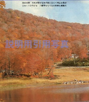12八幡平 金山紅葉.jpg