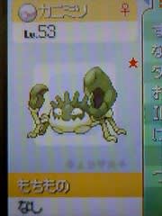 今日の色違いポケモン キングラー 黒い犬の遠吠え