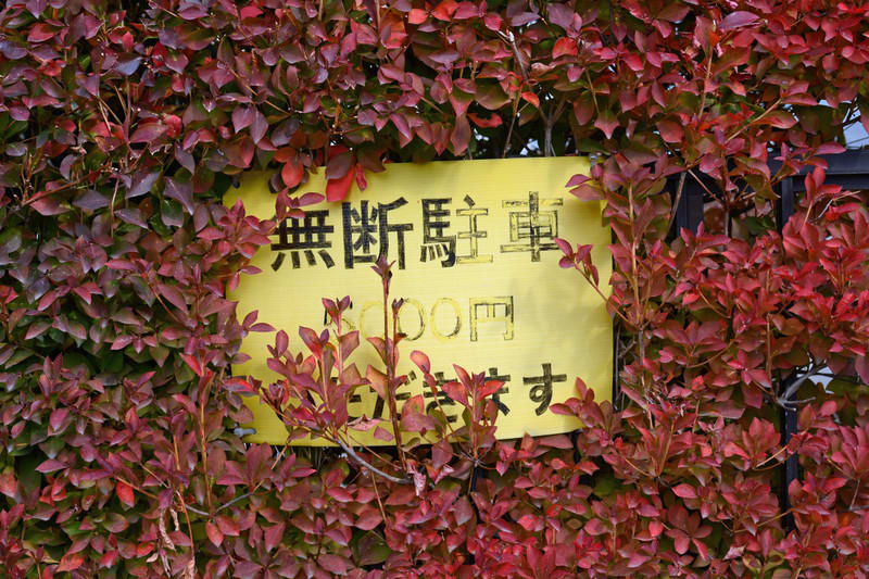 Dsc_5768 Dsc_5768