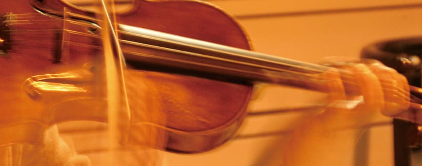 左利き用バイオリン ツルノリヒロの生活と推理