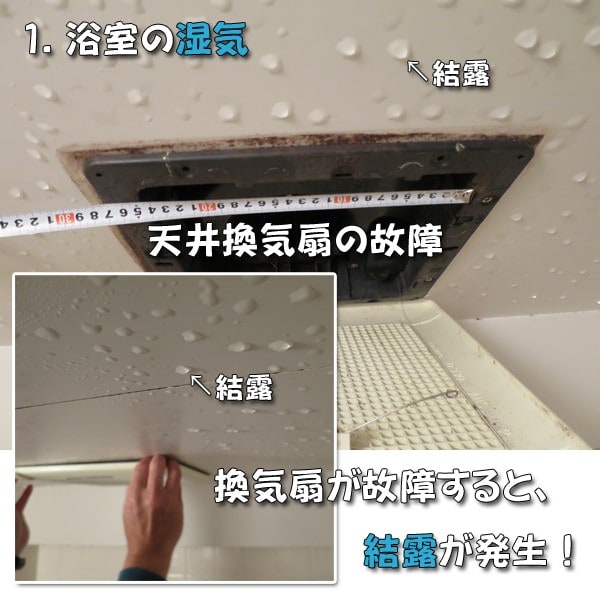 福岡 浴室 洗面脱衣室の結露 湿気 検証と対策 博多の建築士三兄弟 豊かな食卓をつくる トライクルハウス株式会社 電話 092 791 1801 福岡 浴室 洗面脱衣室の結露 湿気 検証と対策 博多の建築士三兄弟 豊かな食卓をつくる トライクルハウス株式会社 電話 092 791 1801