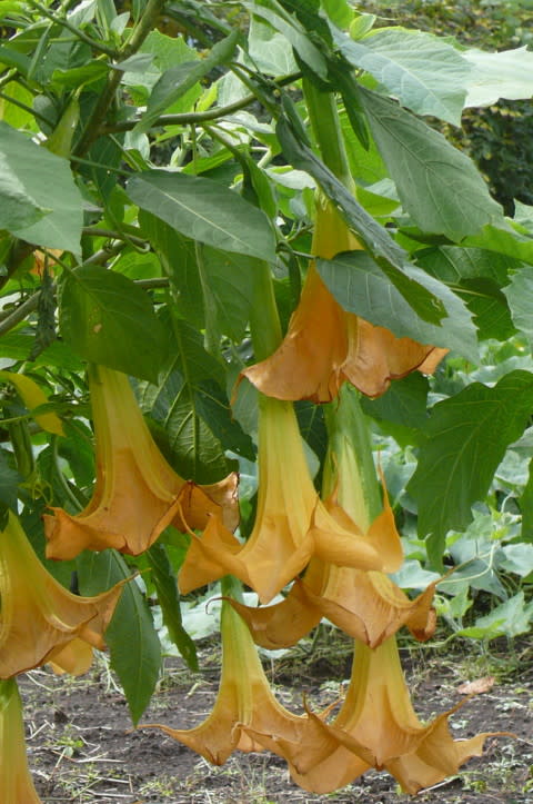 P3040911a