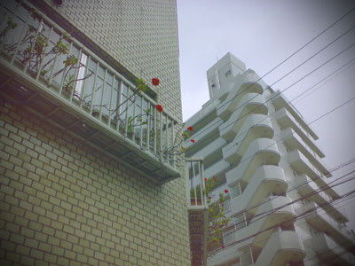 Hana090614 Hana090614