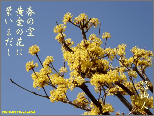 俳句写真454 春の空 悠山人の新古今 俳句写真454 春の空 悠山人の新古今