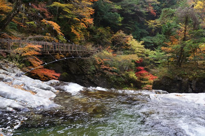 304観音峰 みたらい渓谷 紅葉情報11 10 サランヘヨ 登山