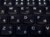 日本全国送料無料 .*・゜急遽休み中。数日〜1週間程さま専用 .゜