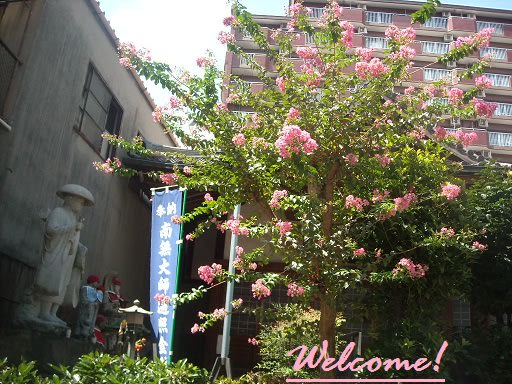 Tkgってご存知 絶対領域って 今どきの若者言葉 Hotなおちゃタイム