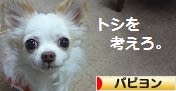 にほんブログ村 犬ブログ パピヨンへ