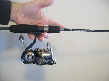 引取推奨【美品】グラマーロックフィッシュ TR68ストレンジ