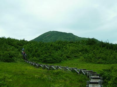 Dscf6197