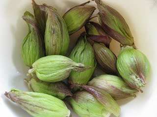 春の食べ物 個性を大事に育てることに賛成 な日記 春の食べ物 個性を大事に育てることに賛成 な日記