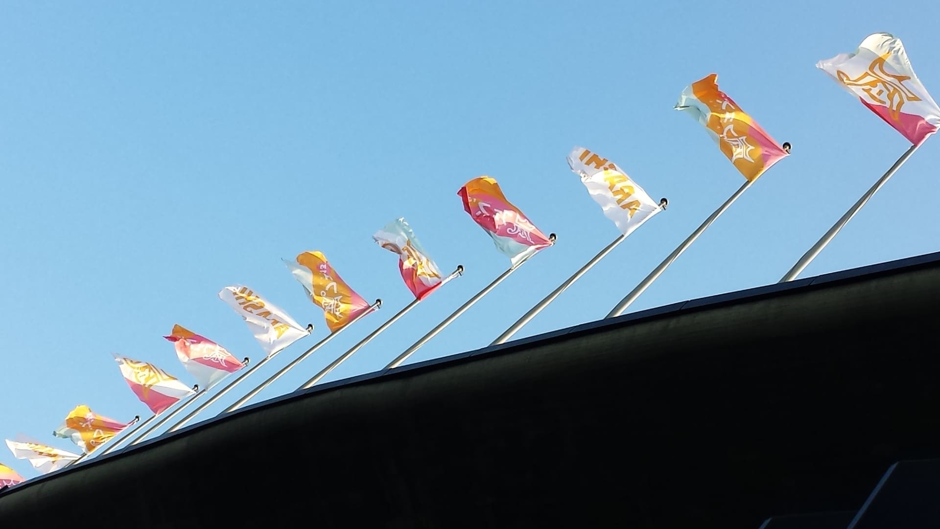 アラフェス13 智に夢中