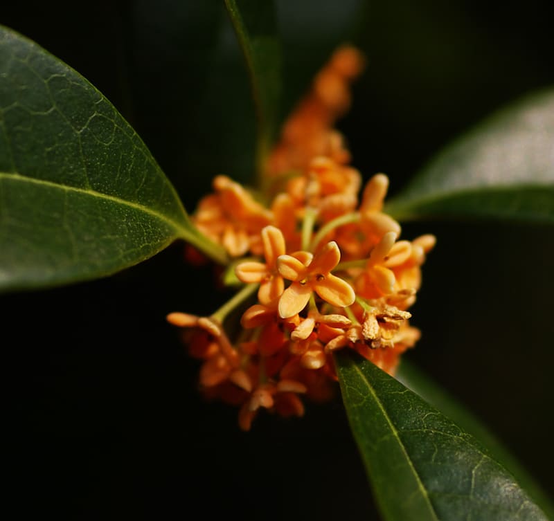 Imgp8878 Imgp8878