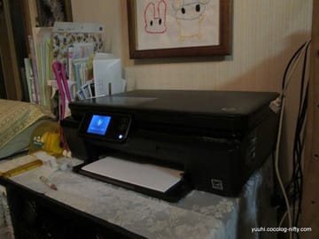 Img_0651 Img_0651