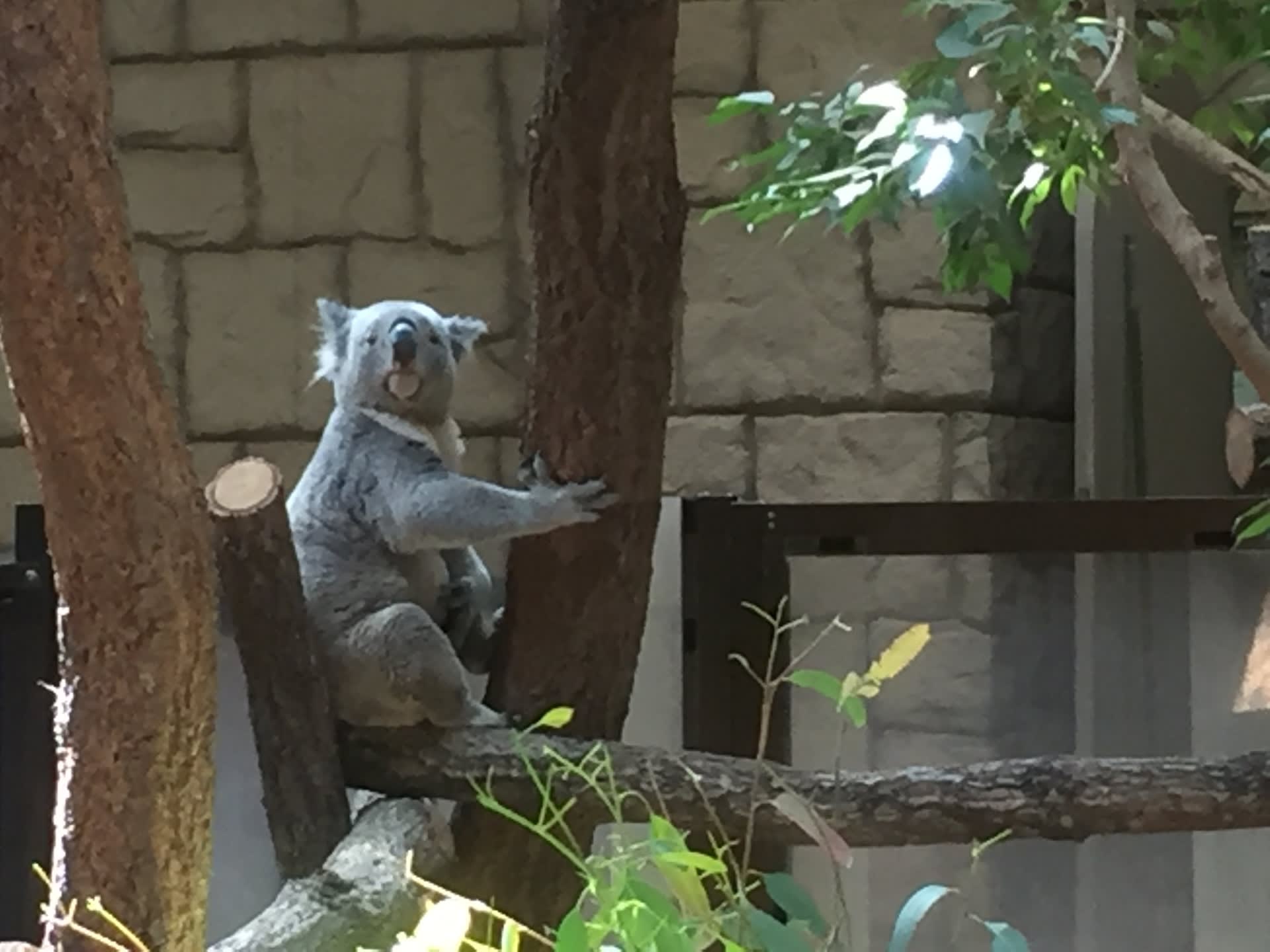 息子と動物園の画像