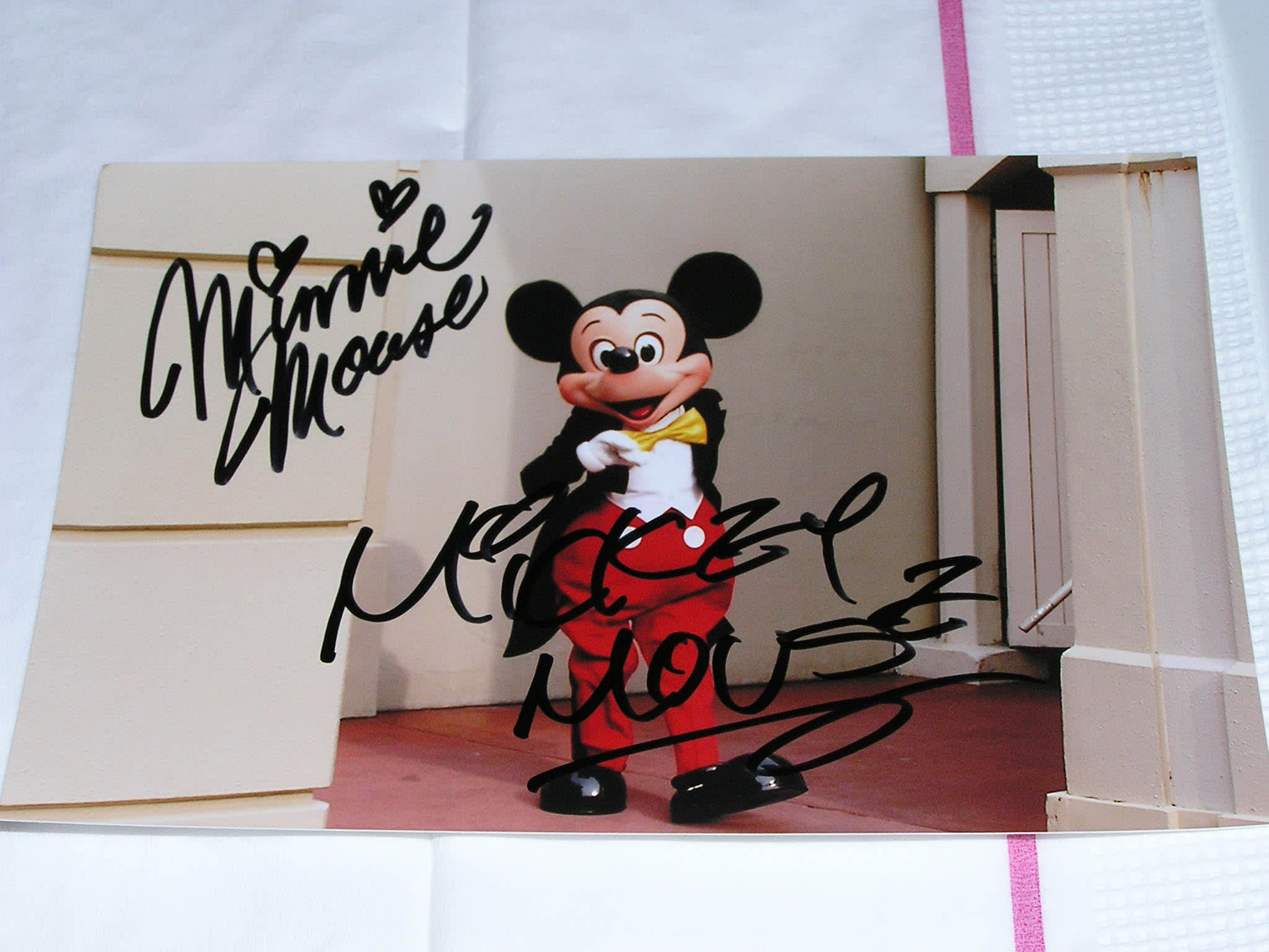 ミッキーとミニーのサイン Disney 情報