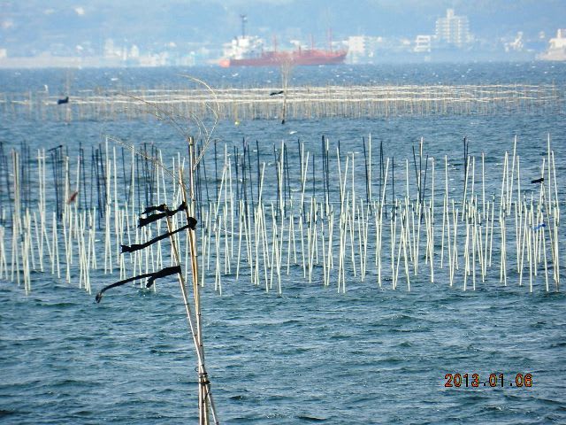 <寺津・一色海岸>の画像